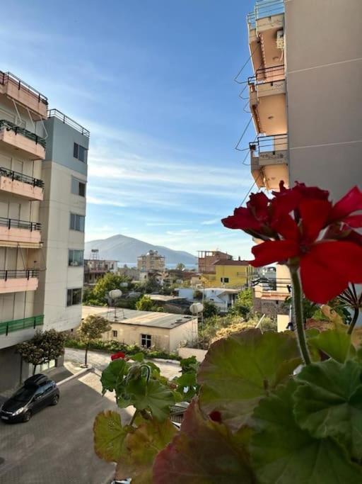 Apartament Sunny And Spacious In Orikum